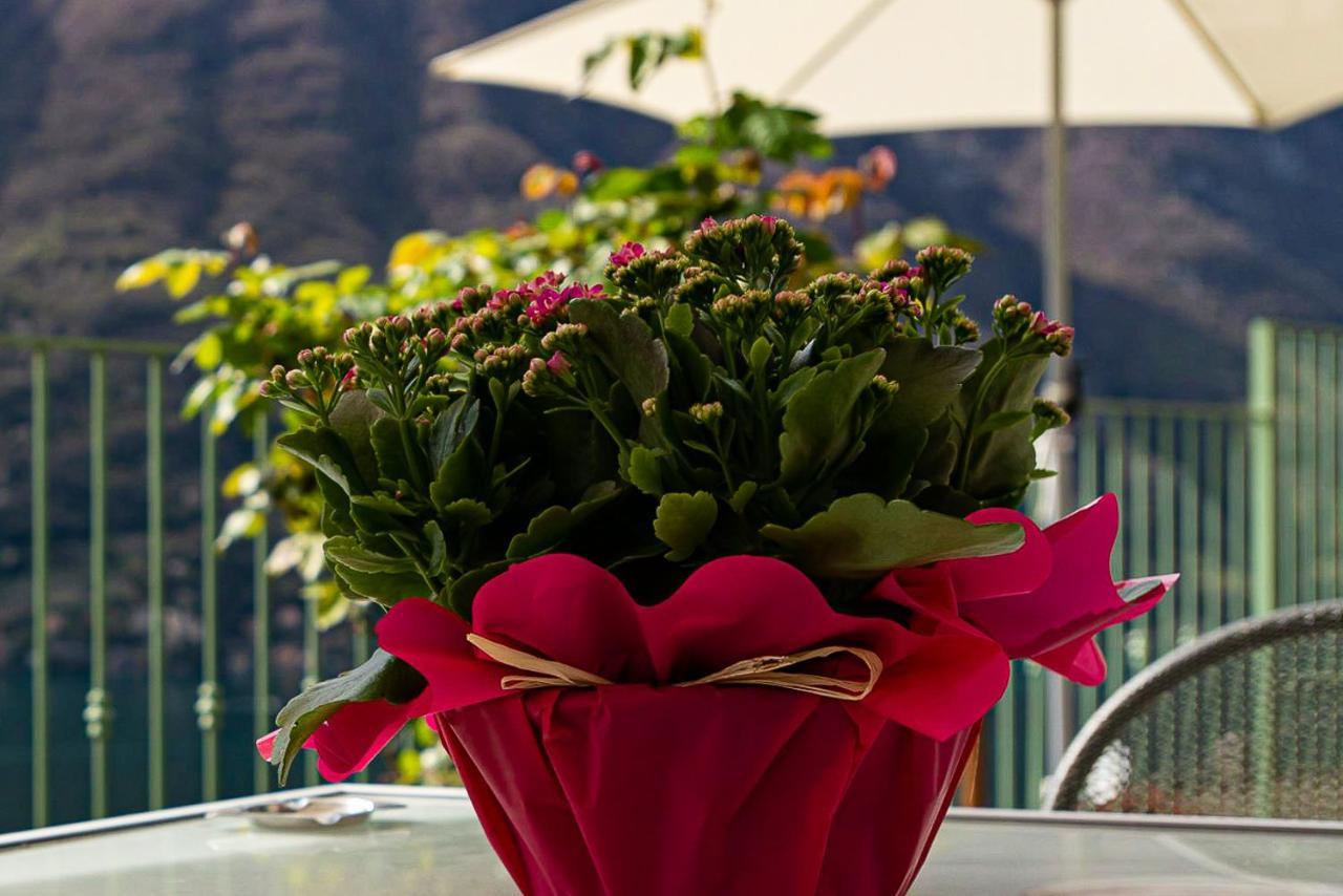 Romantic Home - Lake Como Нессо Екстер'єр фото